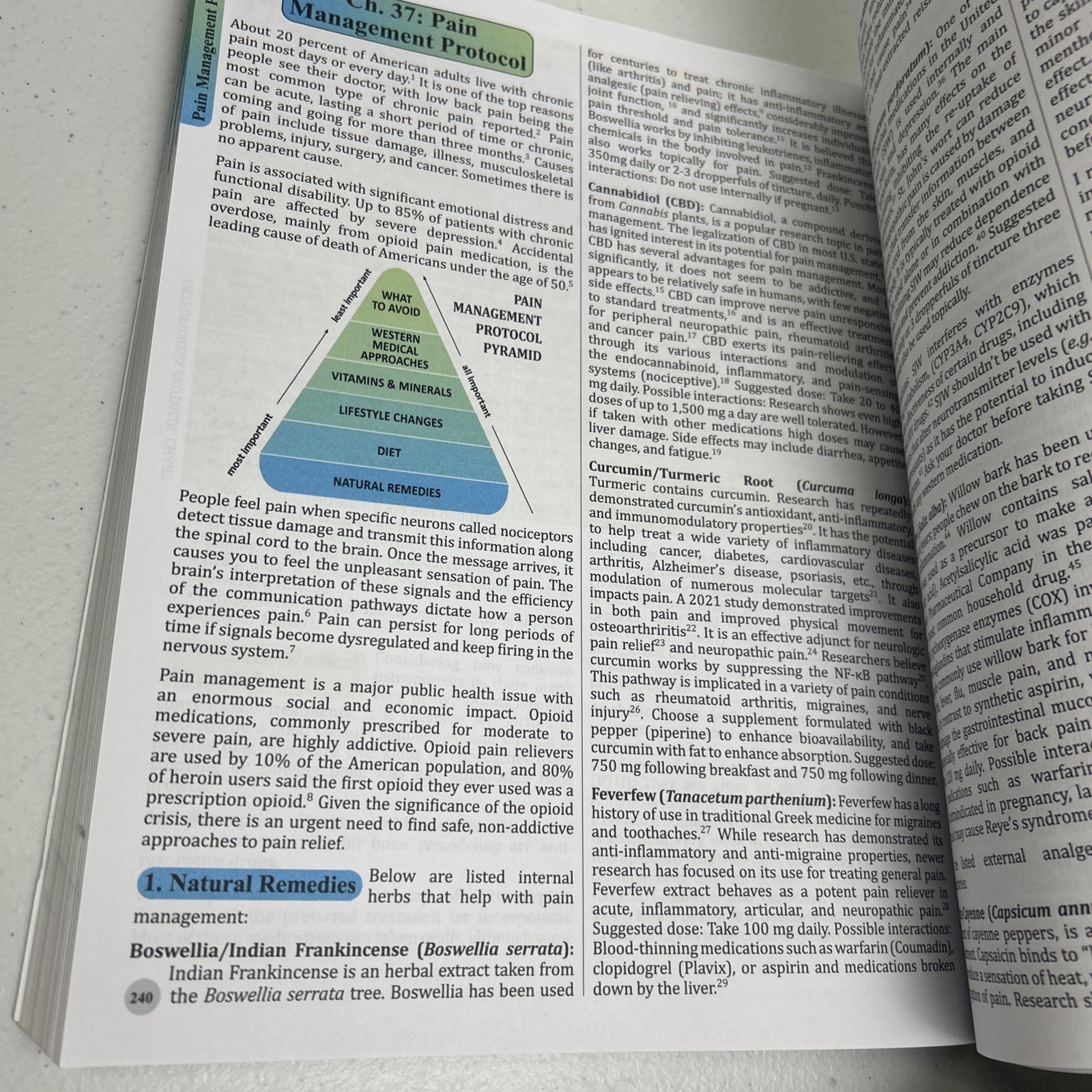 The Holistic Guide to Wellness: Herbal Protocols for Common Ailments. N. Apelian