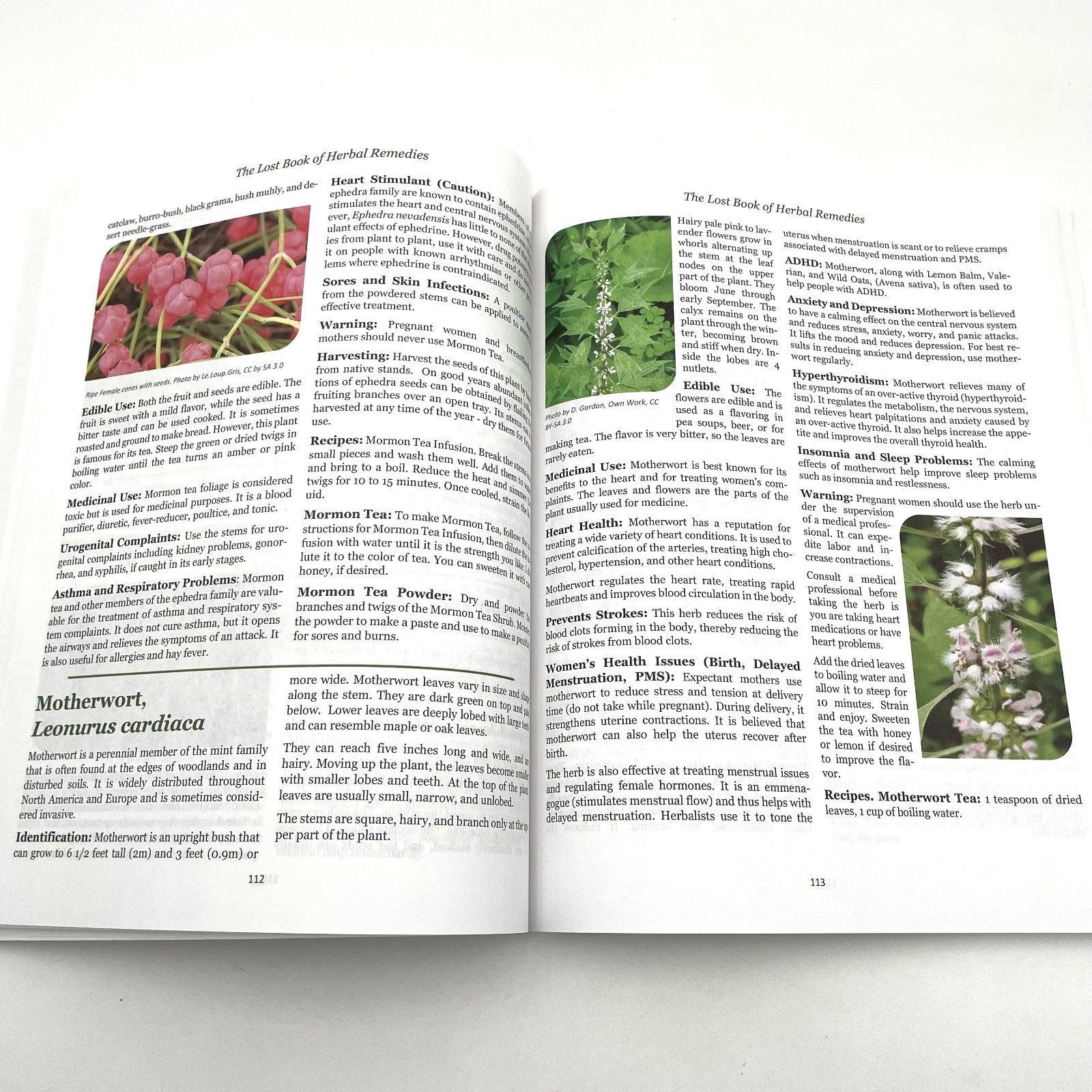 The Lost Book of Herbal Remedies Nicole Apelian, Ph.D and Claude Davis 2020 VG