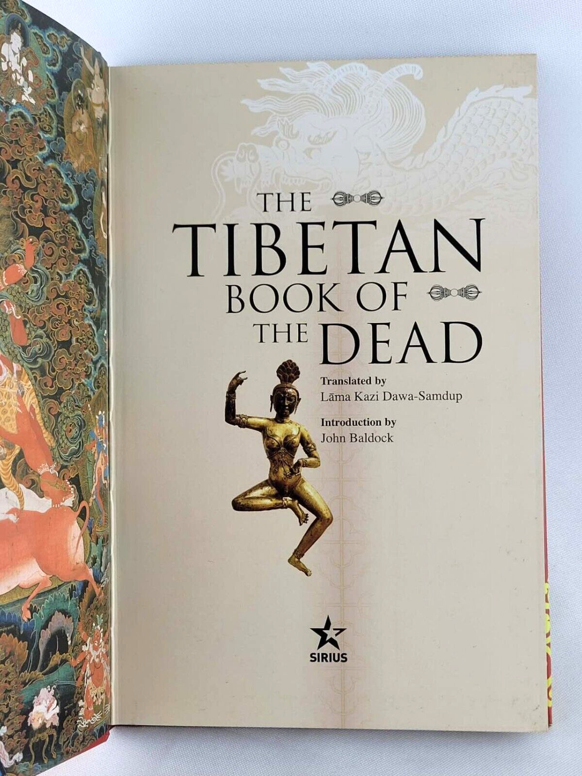THE EGYPTIAN BOOK OF THE DEAD & TIBETAN BOOK OF THE DEAD Illustrated *Brand New*