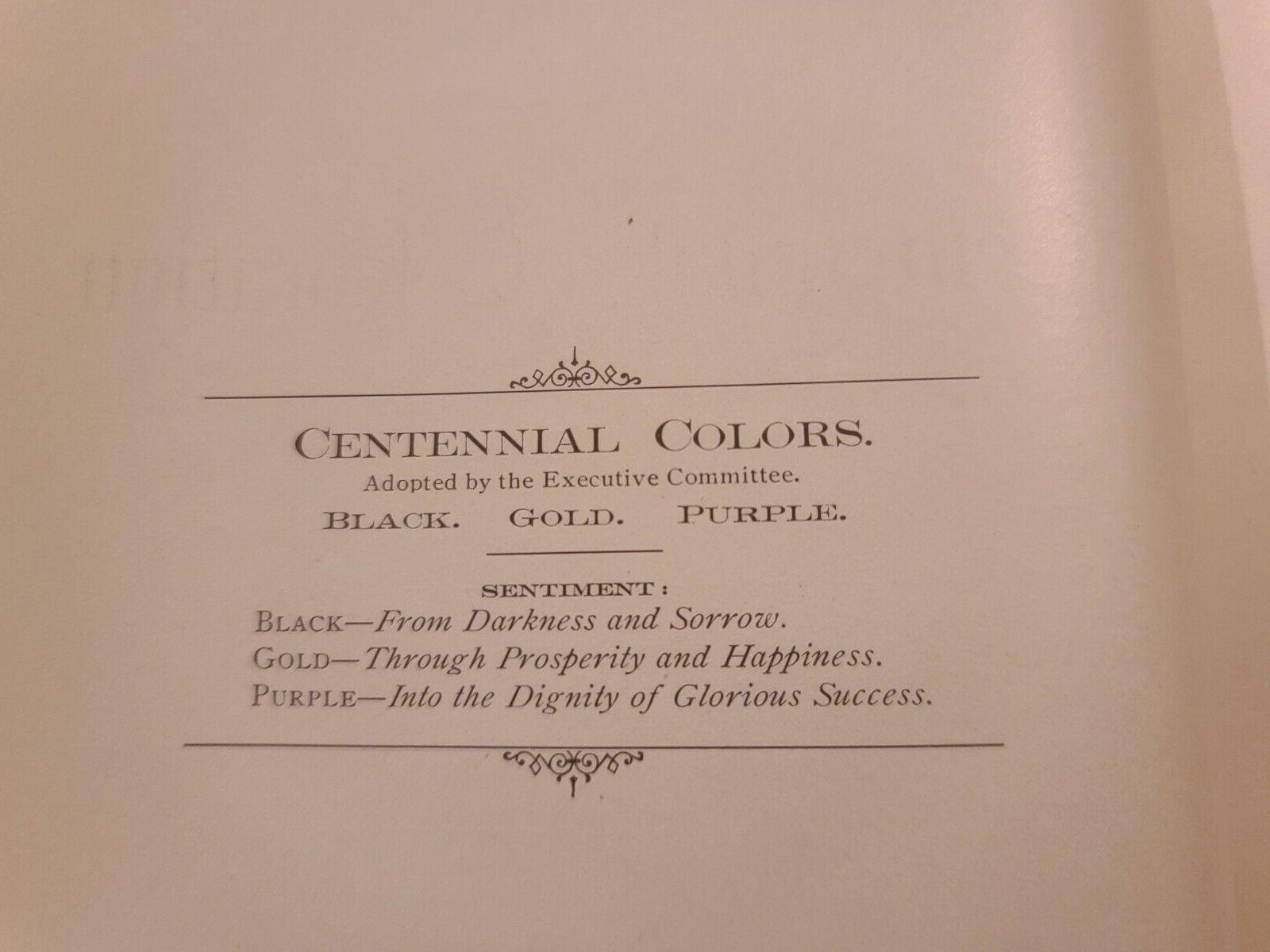 Johnstown Centennial 1800-1900 Book Published By Executive Committee 101 Pages