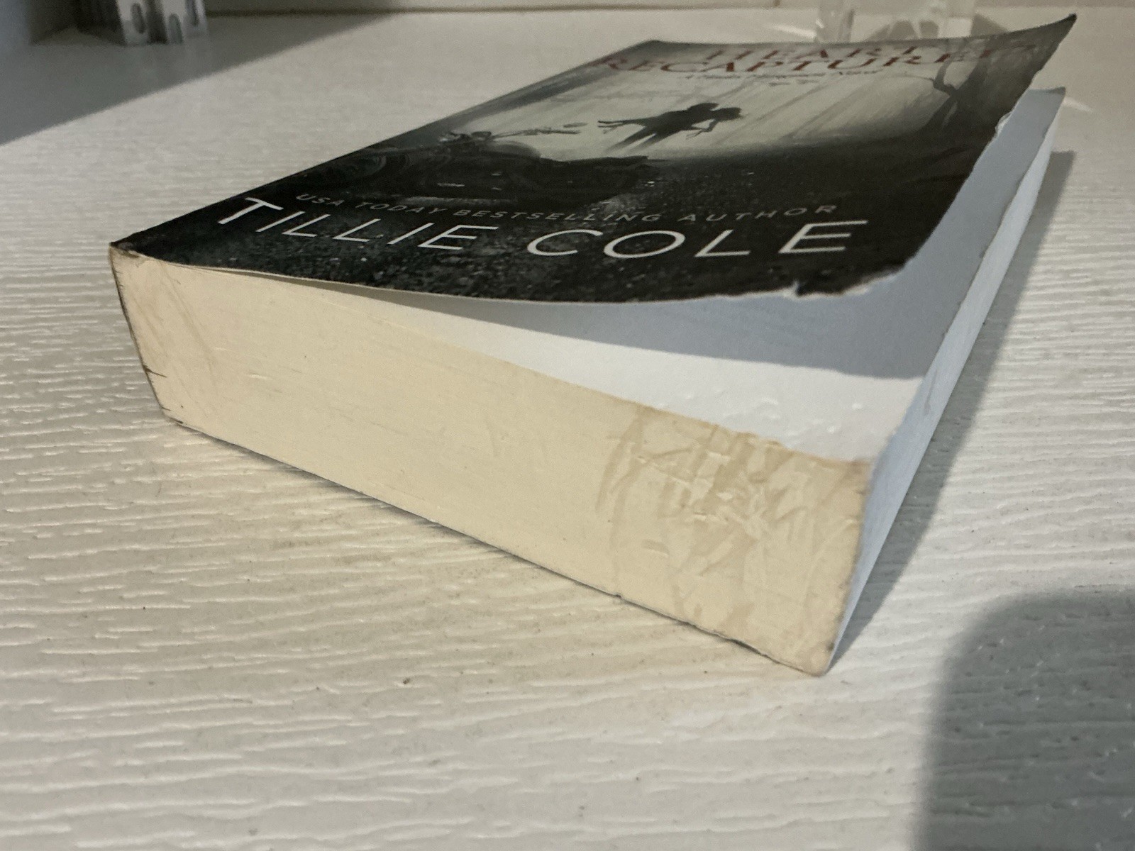 Heart Recaptured (Hades Hangmen) Tillie Cole 2016 Trade Paperback