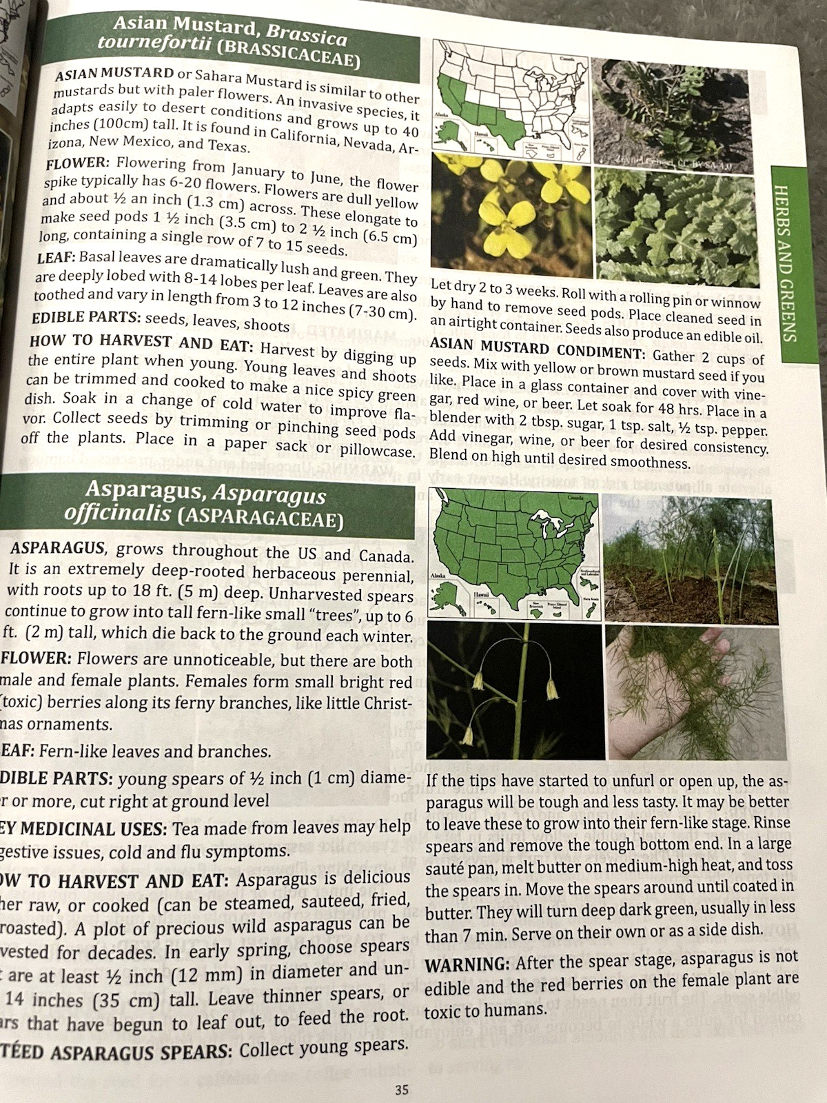 The Forager’s Guide to Wild Foods North American Edition 2021 Nicole Apelian