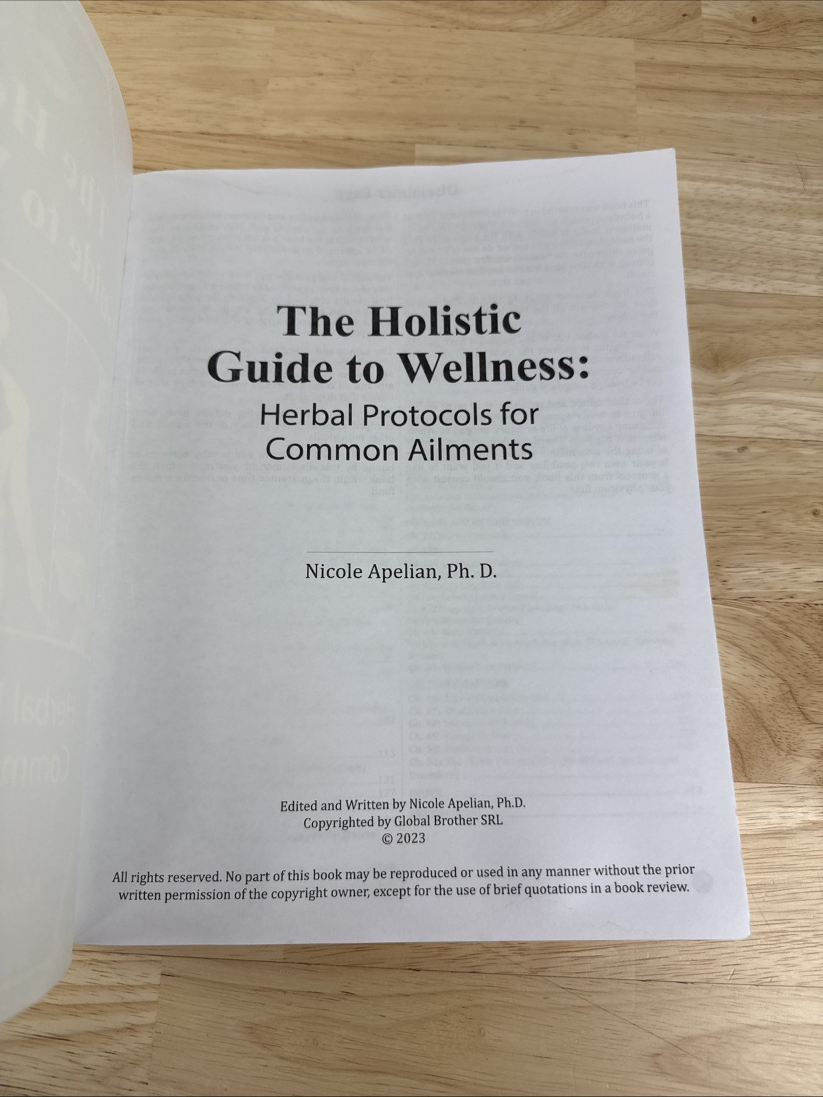 The Holistic Guide to Wellness by Nicole Apelian English Paperback Book