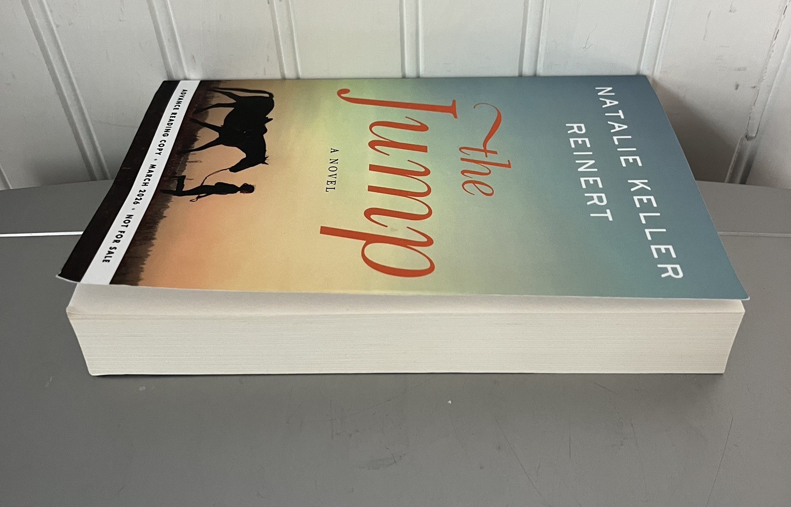 The Jump, NATALIE KELLER REINERT. ARC