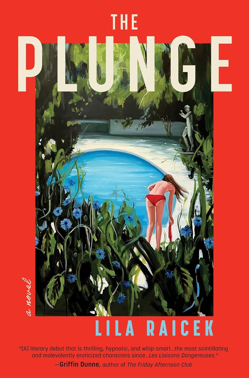 Plunge : A Novel by Lila Raicek (2026, Hardcover) BRAND NEW