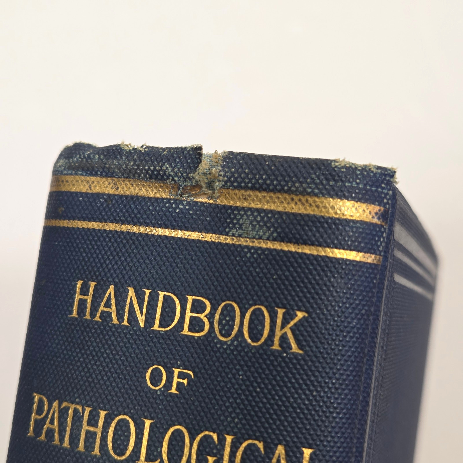 Handbook Pathological Anatomy Histology Delafield Prudden 1889 HC Wood Engraving