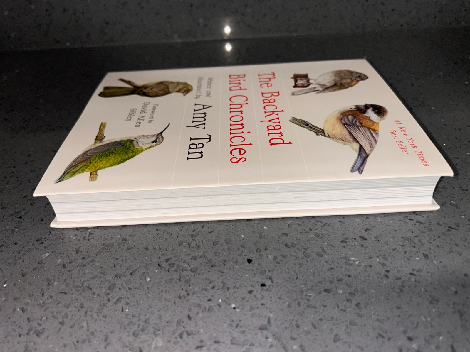 The Backyard Bird Chronicles, Amy Tan, Flexibound, 2024, first edition NEW