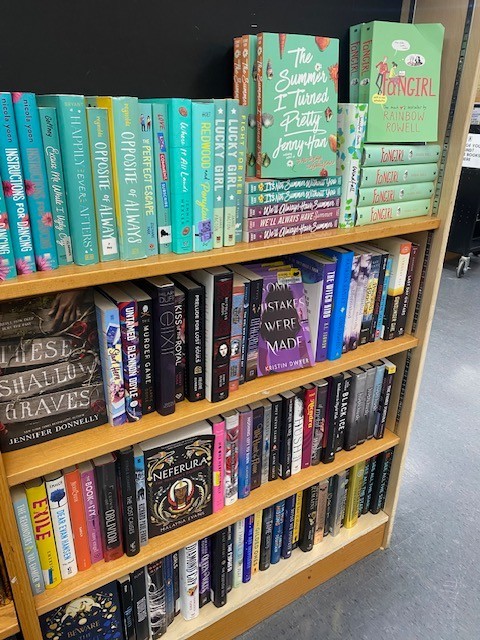 Lot of 10 Young Adult YA Books – Teen Fiction Novels Mixed Genres Bulk Lot