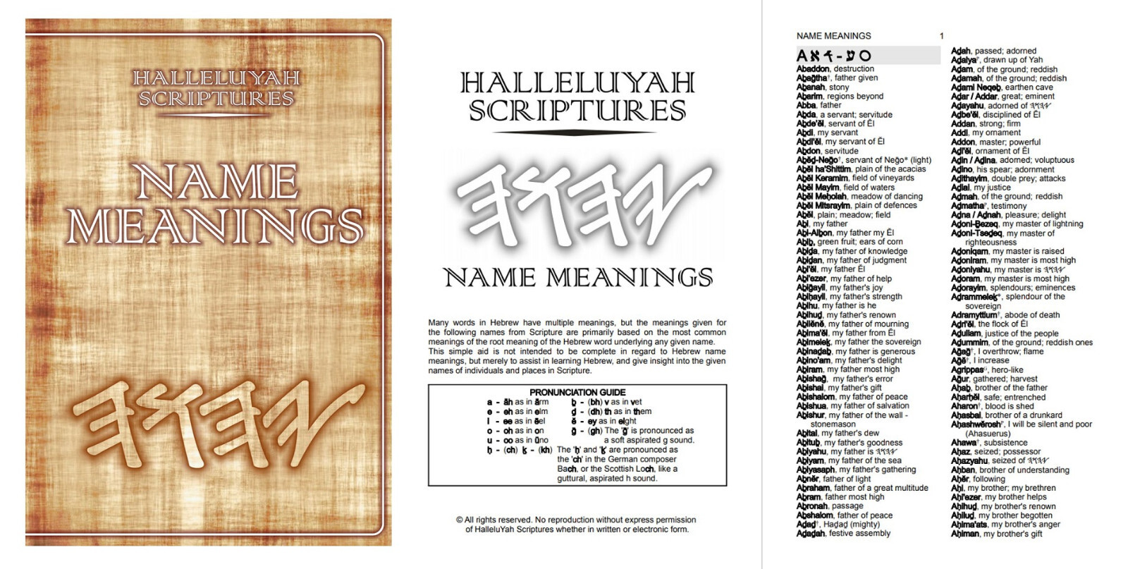 HalleluYah Scriptures PU Leather Large Print & Extra Books FREE SHIPPING