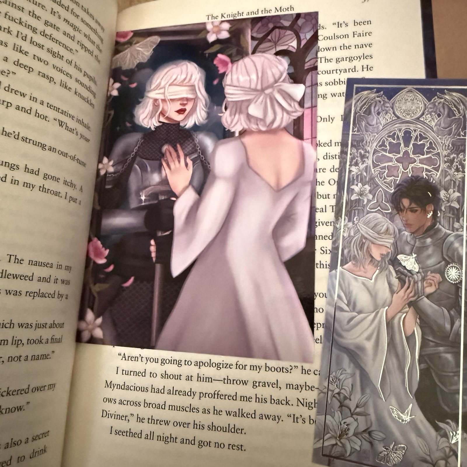 The Knight and the MothBy Rachel GilligBad Women Books edition