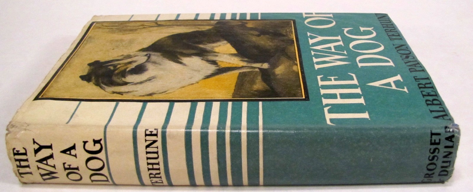 The Way of a Dog by Albert Terhune First Edition Hardback w/ Dust Jacket 1932