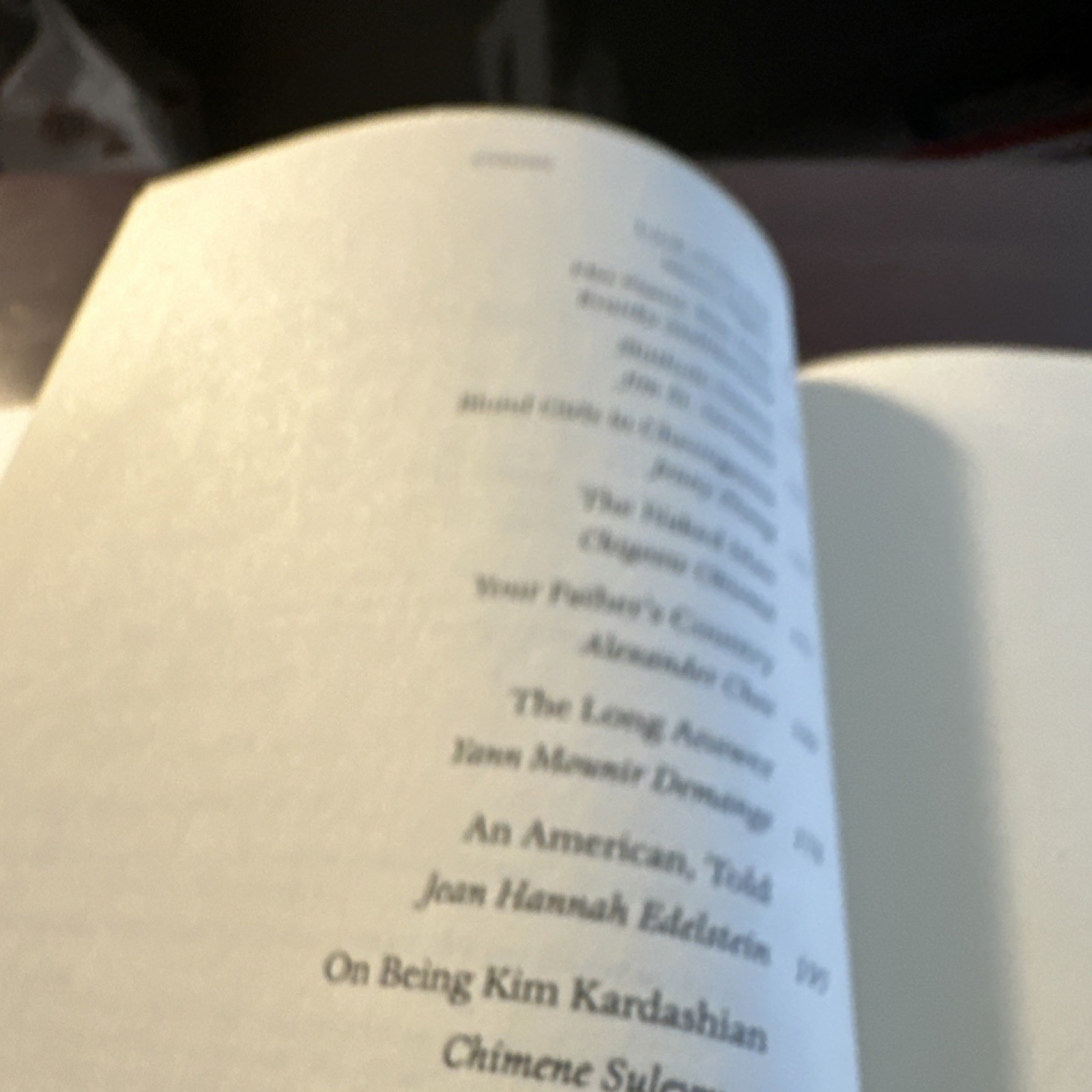 Little, Brown Good Immigrant 26 Writers Reflect America Hardcover 2019