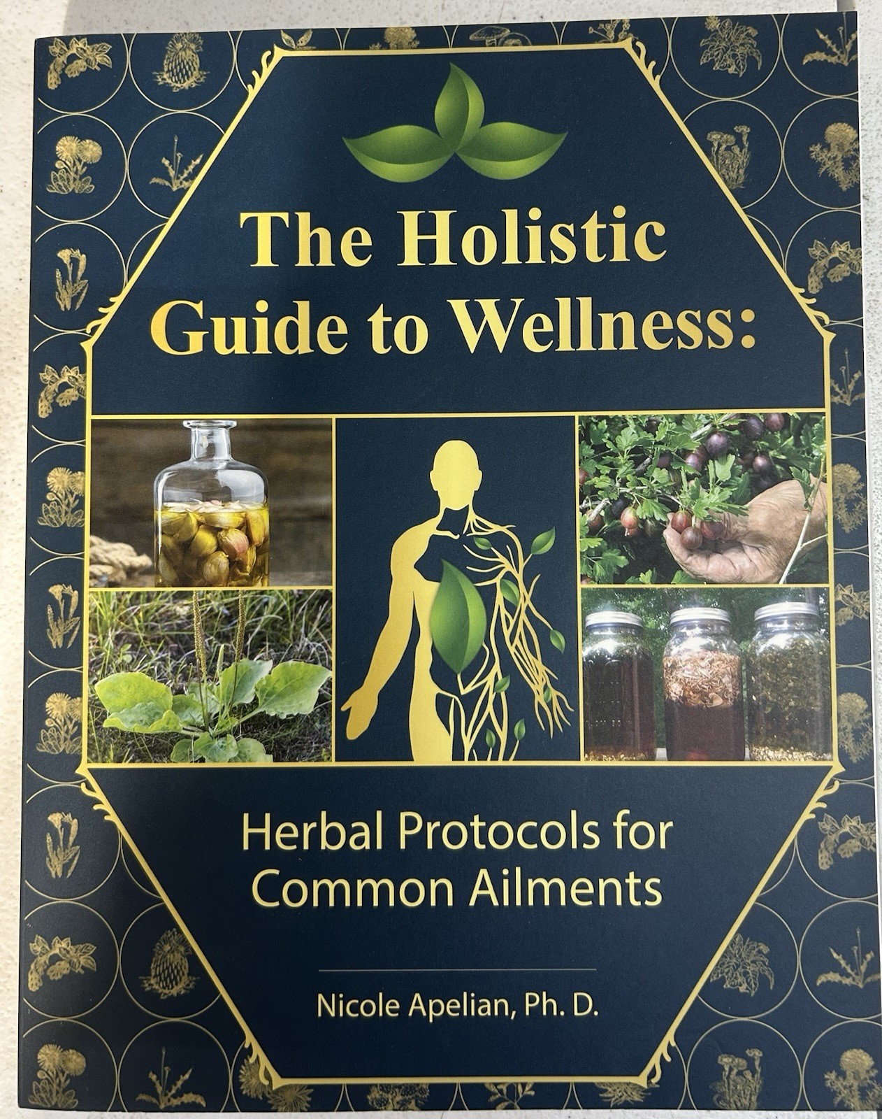Holistic Guide to Wellness : Herbal Protocols for Common Ailments by Nicole…