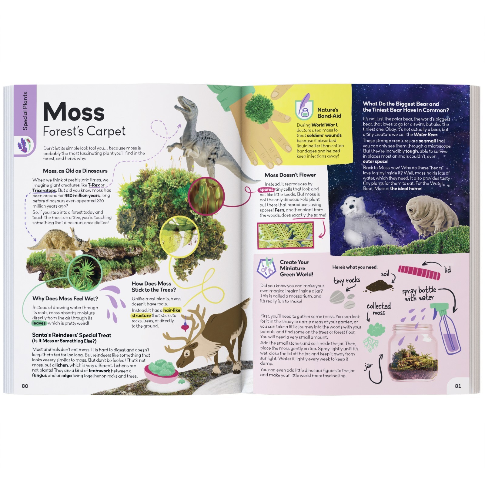 My First Plant Book