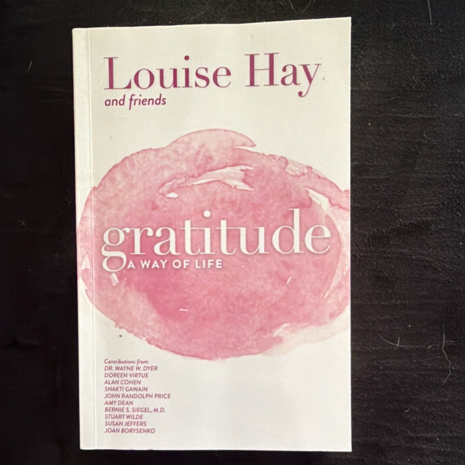 Hay House Gratitude A Way of Life Louise Hay 1996 Trade Paperback New Thought