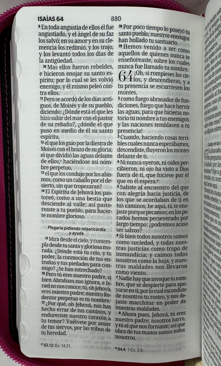 Biblia Chequera Letra 8.5 puntos RV1960 imit piel rosa fucsia gris claro con …