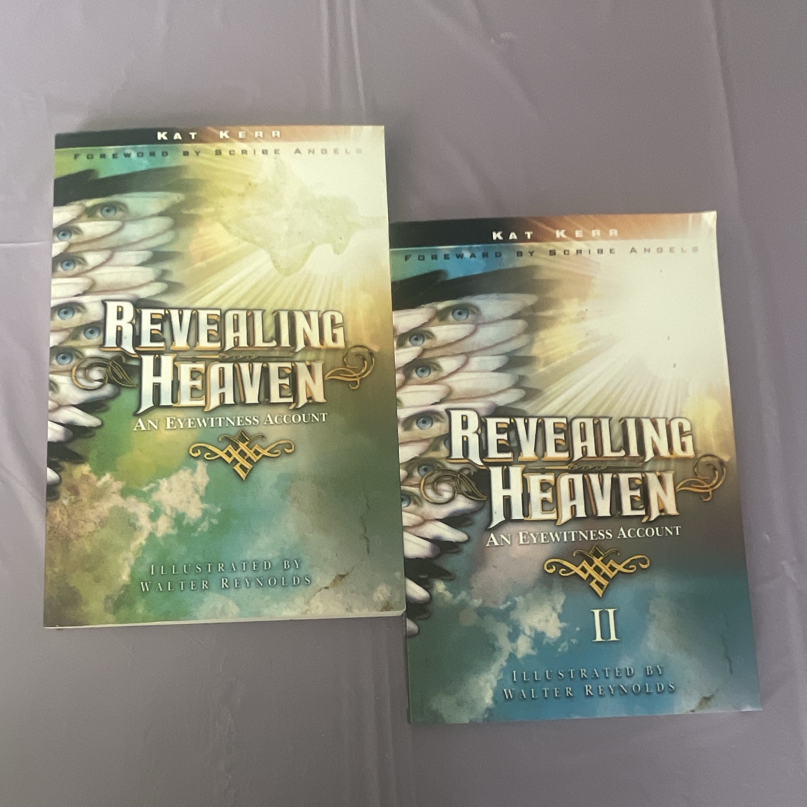 Christian Fiction Lot: Lucado, Reid, Lewis, Kerr – Adult, Dust Jacket, 2010s