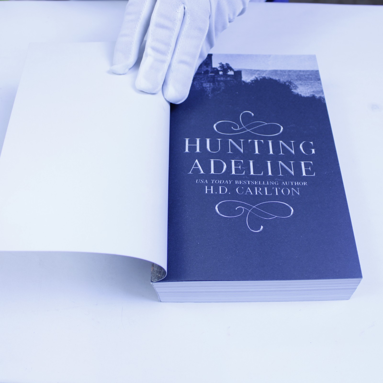 Survive the Obsession with Dark Romance Thriller Hardcover by Cat and Mouse,