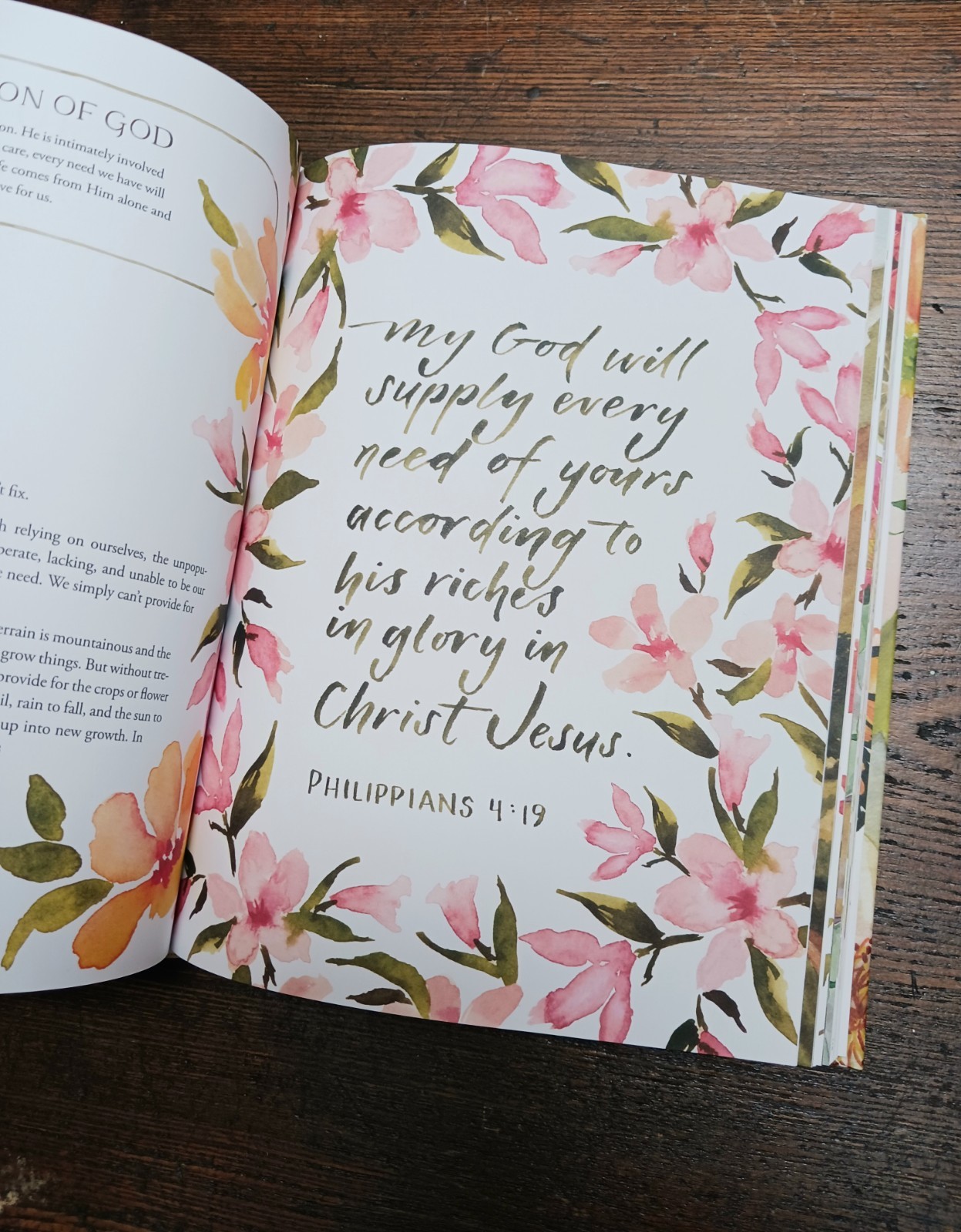 Pilgrim: 25 Ways God’s Character Leads Us Onward by Ruth Chou Simons