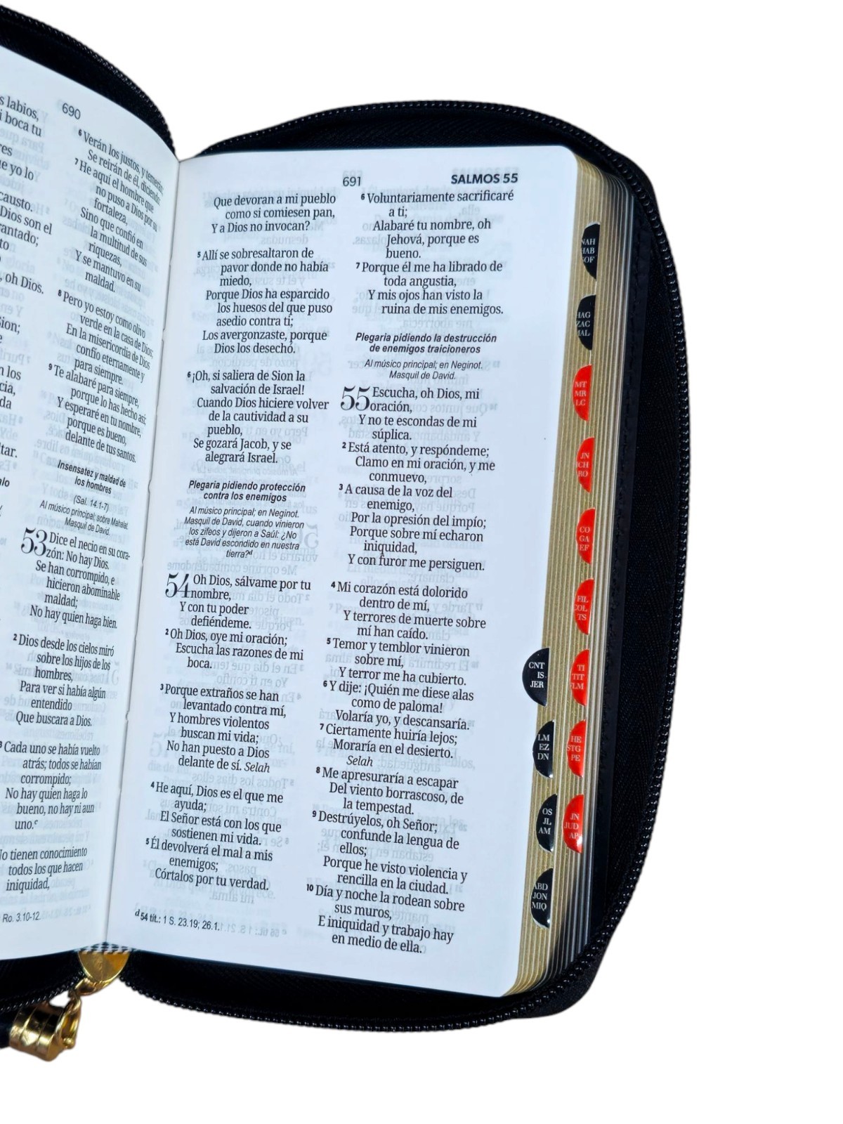 Biblia Chequera Letra 8.5 puntos RV1960 imit piel tricolor con indice