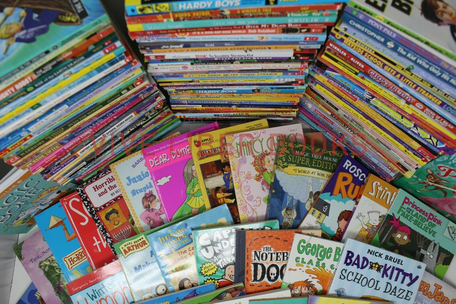 Bulk/Huge Lot of 50 of Children’s Kids Chapter Books – Random – Free Shipping!