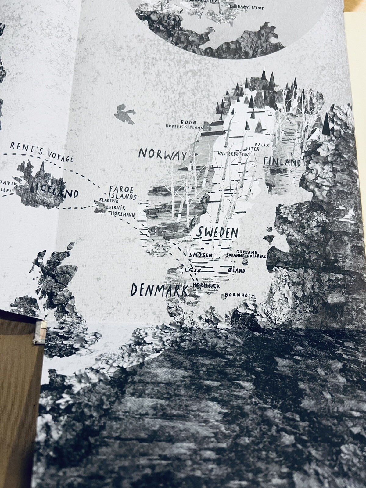 NOMA: Time & Place in Nordic Cuisine; Brand New, 367 pages.