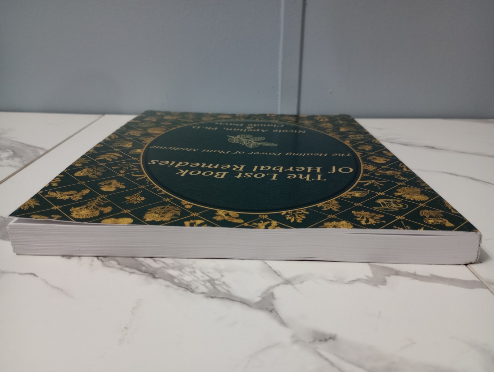 The Lost Book of Herbal Remedies by Claude Davis and Nicole Apelian Self Help