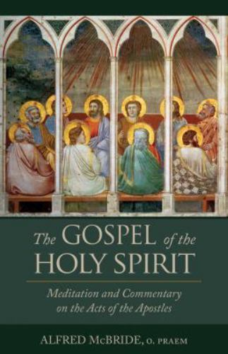 Gospel of the Holy Spirit : Meditation and Commentary on the Acts of the Apos…