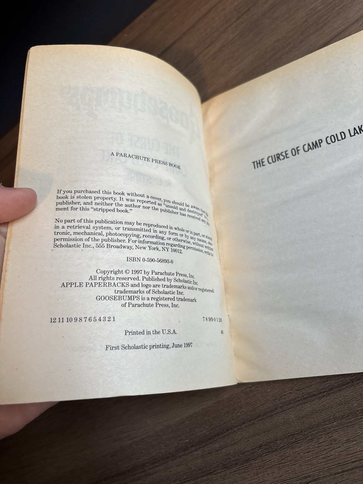 Good Thin Edition 1st print Goosebumps #56 The Curse of Camp Cold Lake ~ Stine
