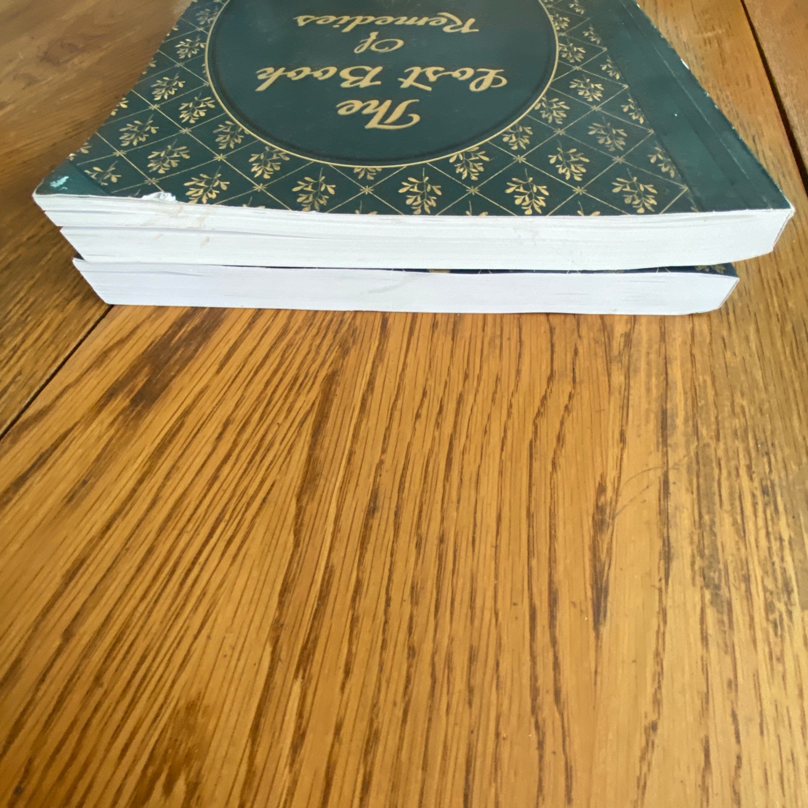 Holistic Guide to Wellness & Lost Book of Herbal Remedies Paperback