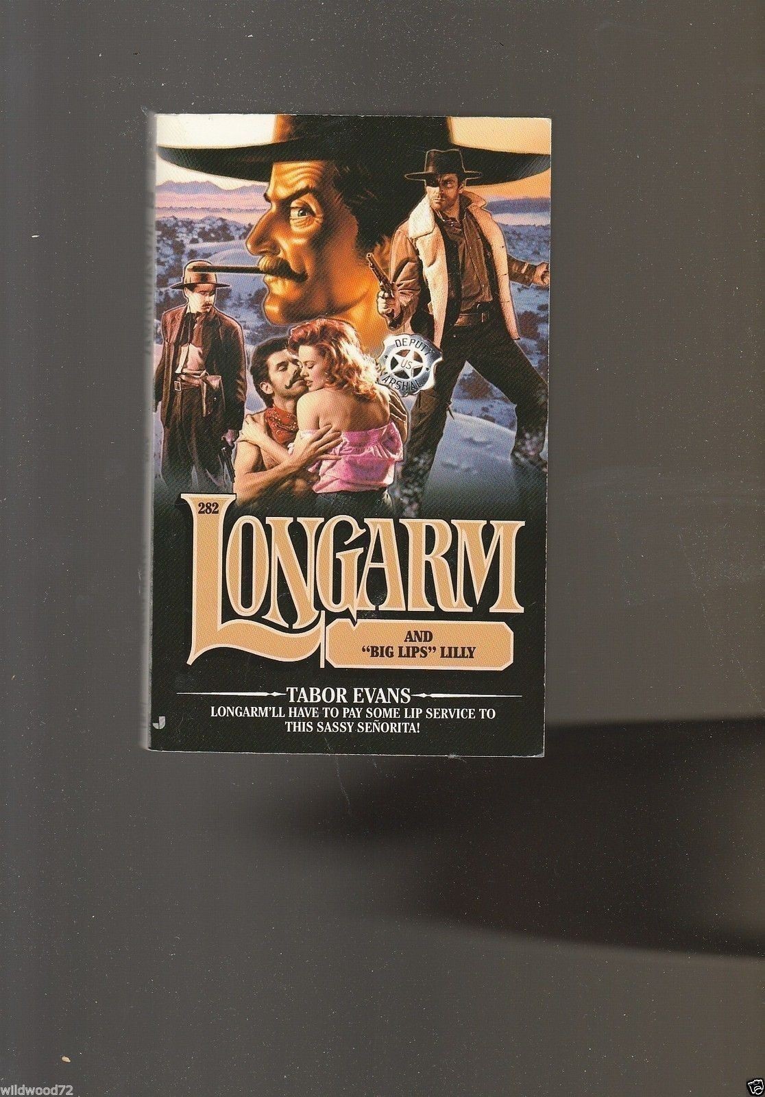 Longarm: Longarm and Big Lips Lilly No. 282 by Tabor Evans (2002, Paperback)