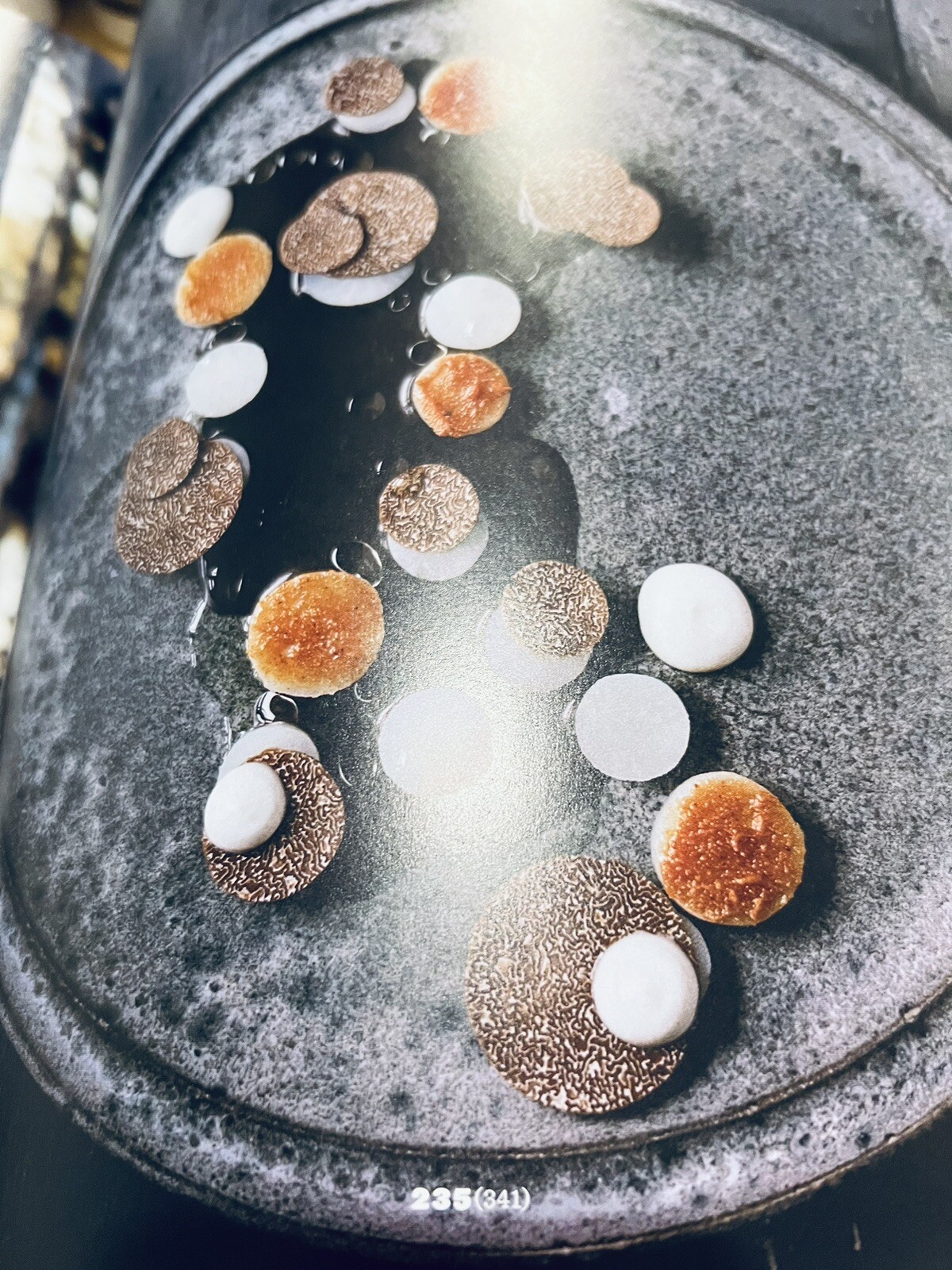 NOMA: Time & Place in Nordic Cuisine; Brand New, 367 pages.