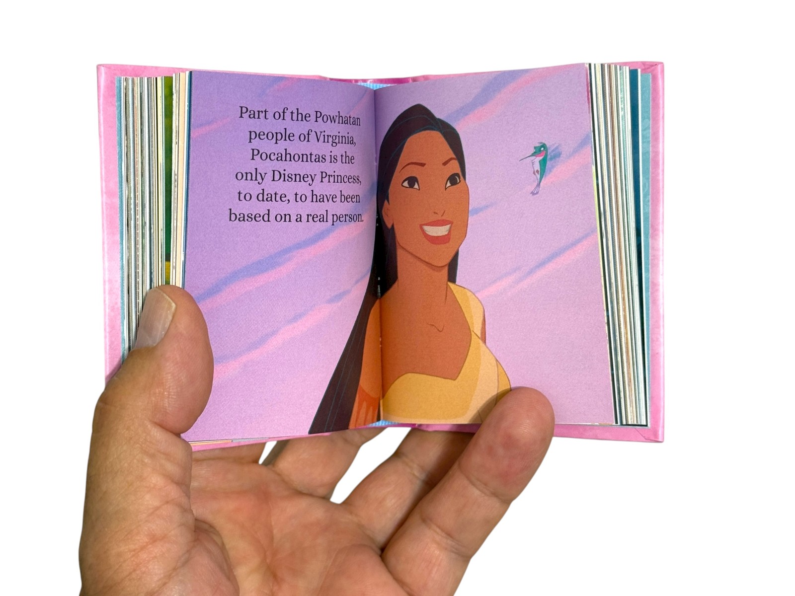 The Mini Art of Disney Princess mini book 304 pg w/color illustrations hardcover