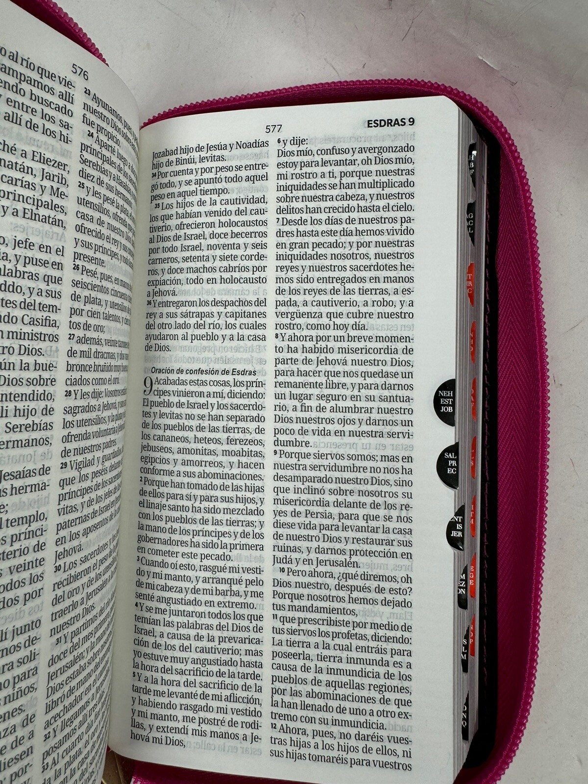 Biblia Chequera Letra 8.5 puntos RV1960 imit piel rosa fucsia gris claro con …