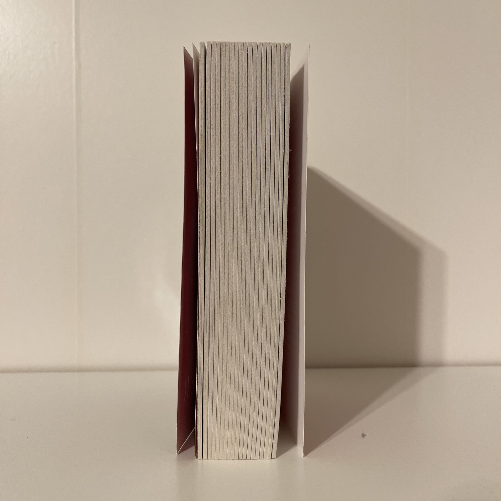All the Colors of the Dark: a Read with Jenna Pick by Chris Whitaker