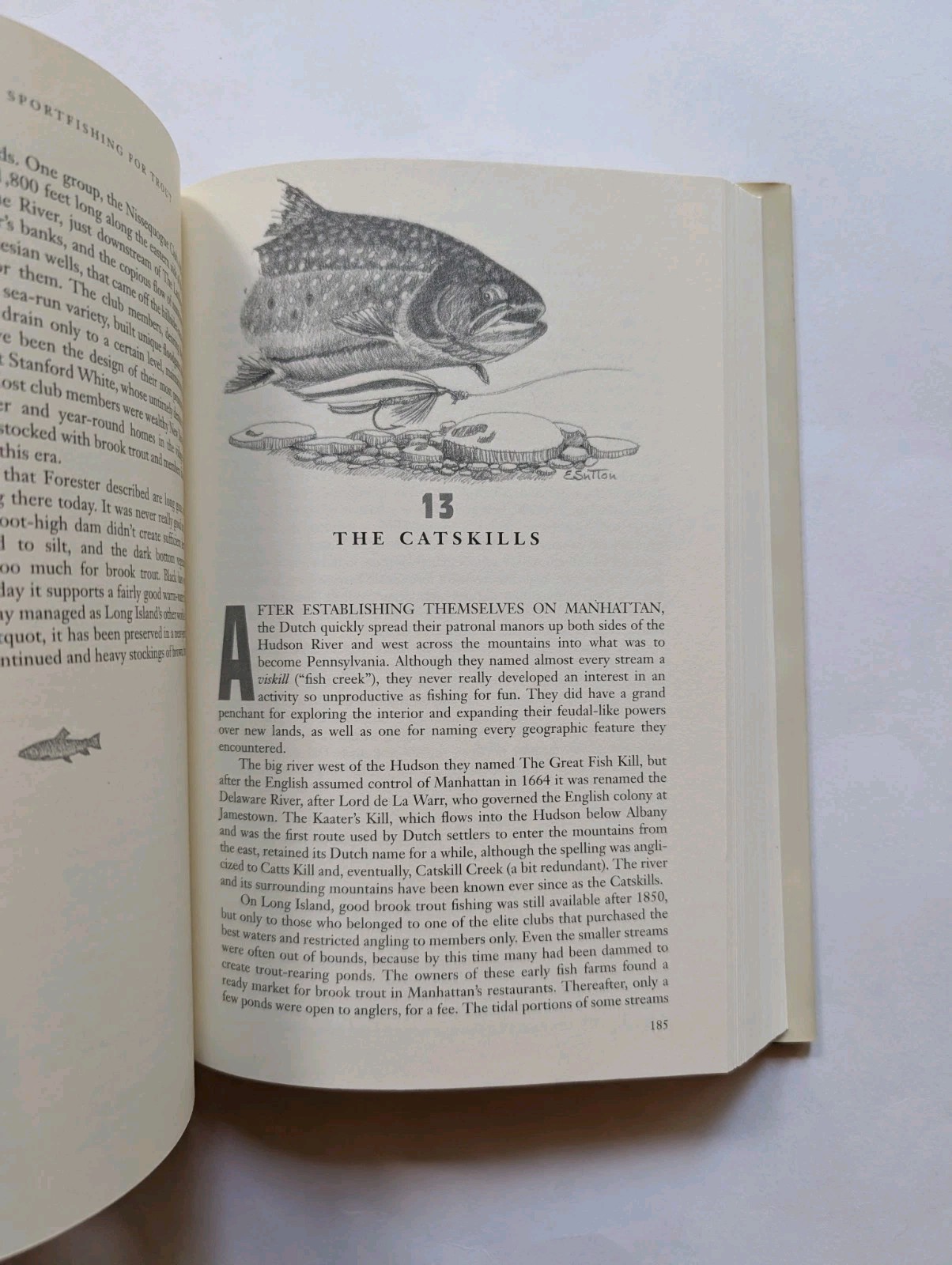 Brook Trout History Biology Angling Nick Karas Hardcover Dust Jacket Lyons Press