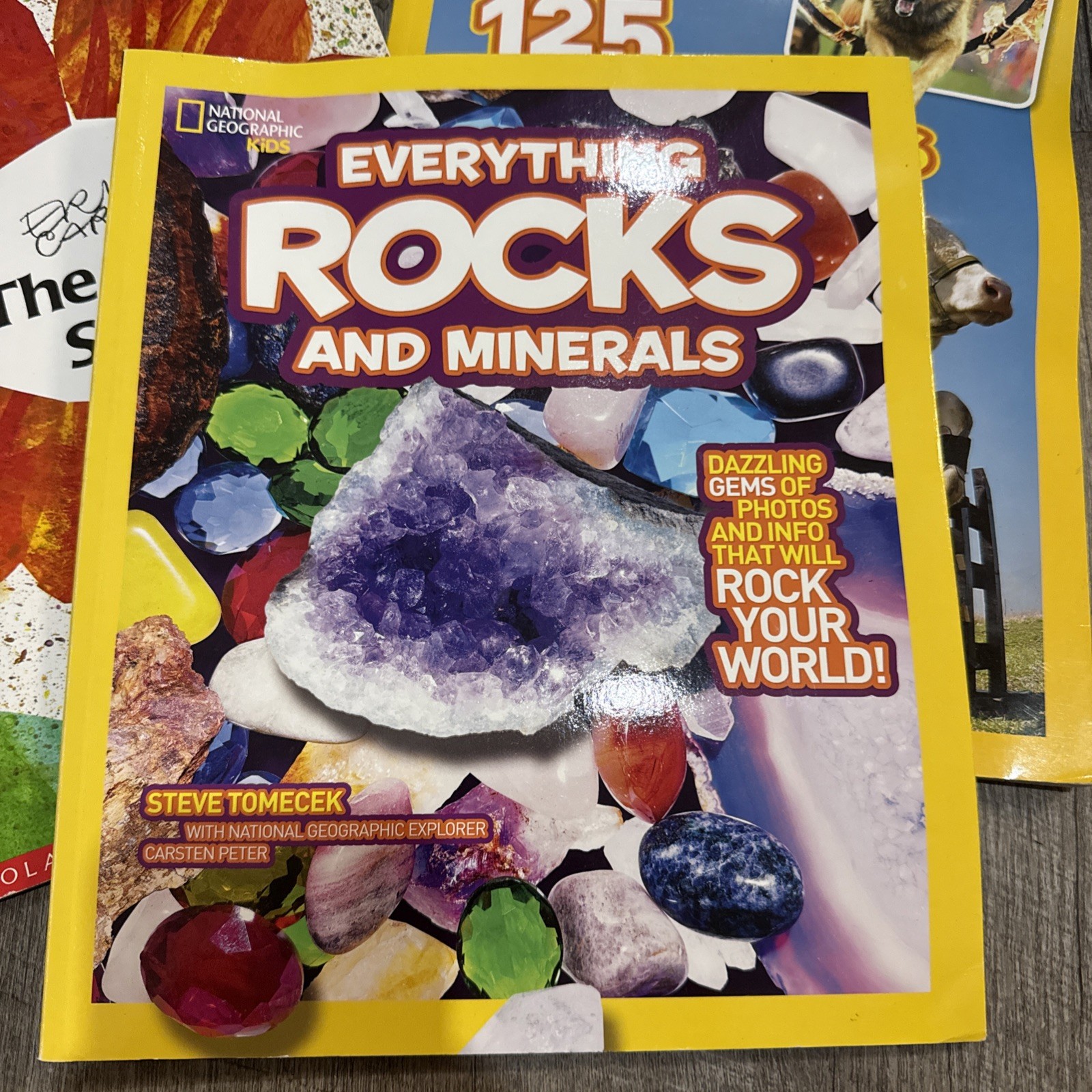 Lot of 5 Children’s Books From 2010s Learning and Fun to Read Paper/Hard Cover