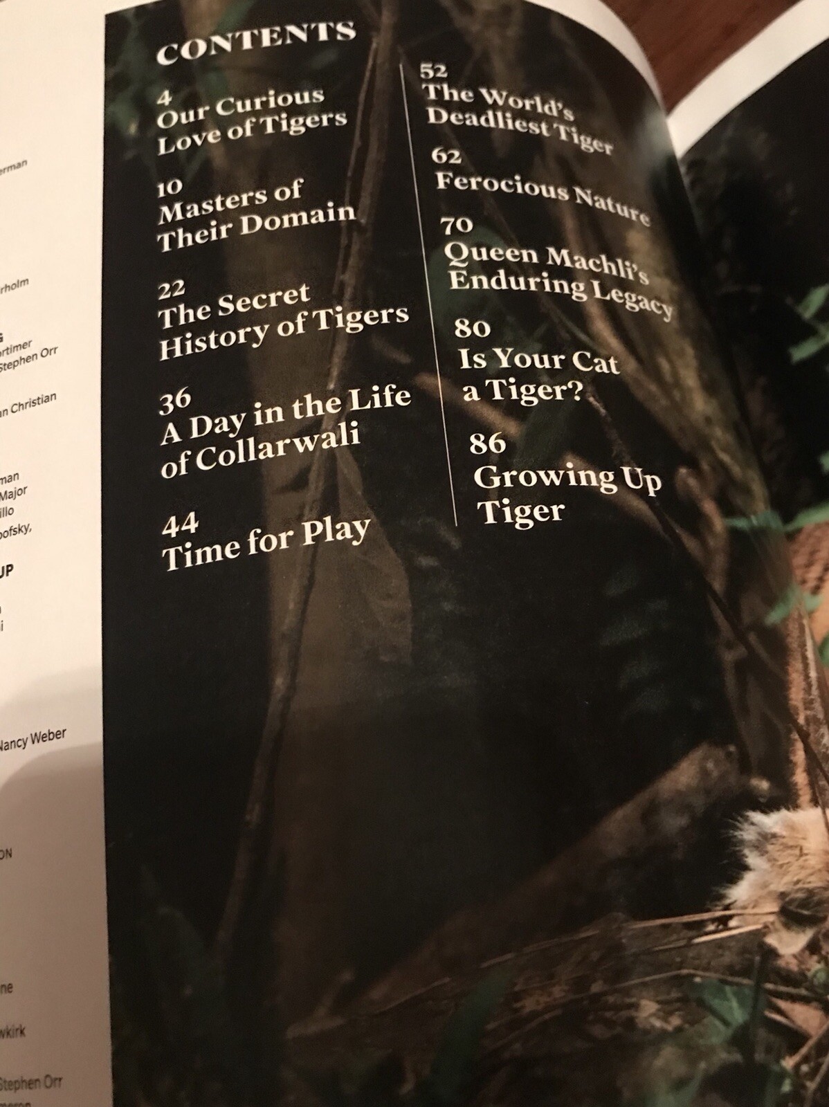 MAGAZINE_**TIGERS**_ 2021_LIFE_BIG CAT_*INSIDE THE TIGER’S MIND*_NEW UNREAD COPY