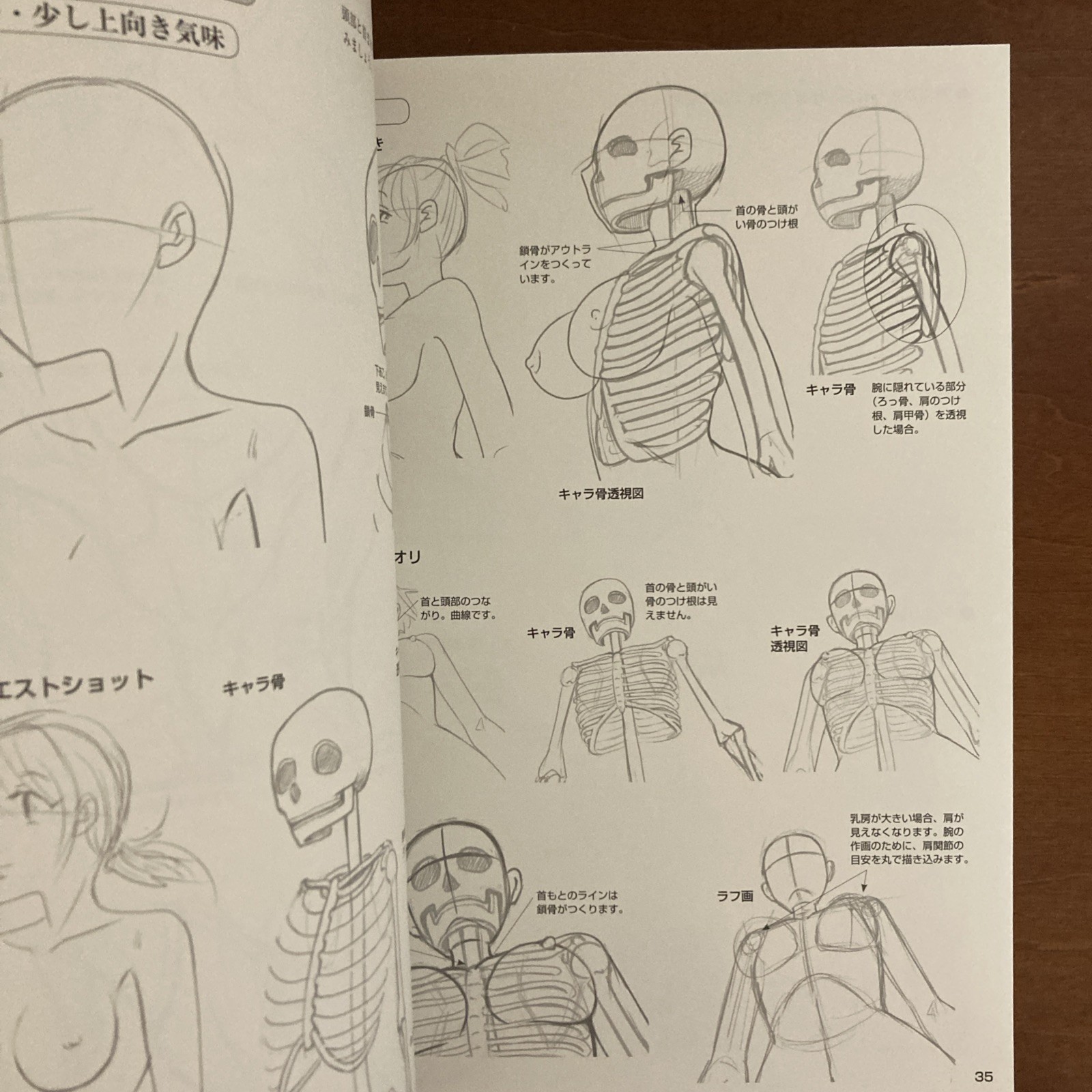 How to Draw a Girl’s Body: Character Bones and Flesh Art Book Illustration